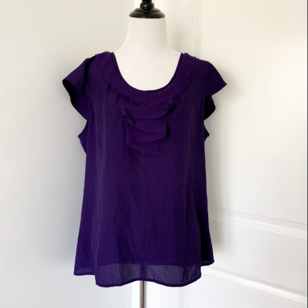 The Limited Ruffle Blouse